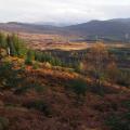 Blackwood track - view